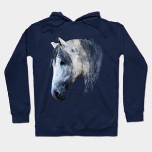 Dramabite Watercolor horse animal riding rider equine artistic Hoodie